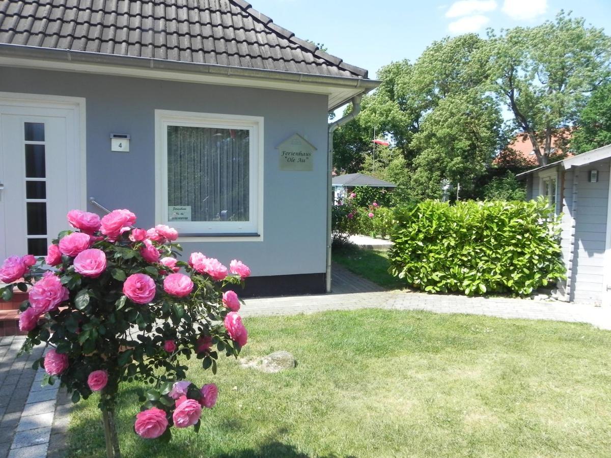 Ferienhaus, Ferienwohnung Ole Au Oldershausen Exterior foto